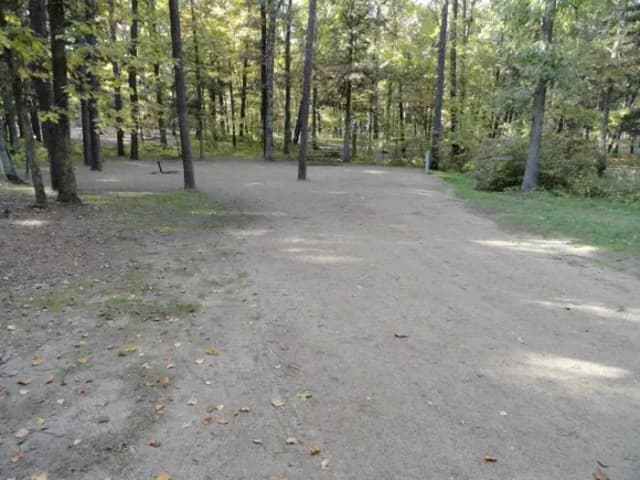 Campsite #119