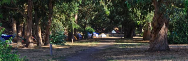 Tents in forested area.