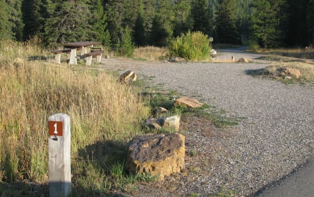 Site 1, campsite surrounded by pine trees, picnic table & fire ring