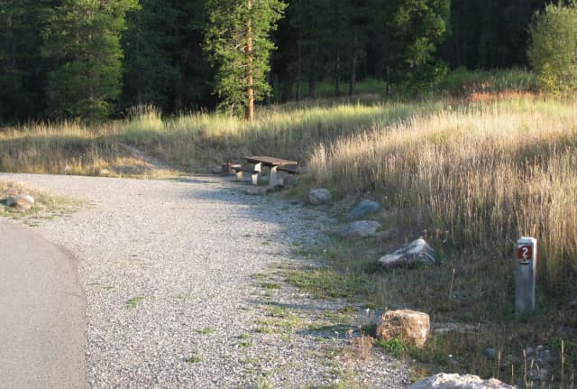 Site 2, campsite surrounded by pine trees, picnic table & fire ring