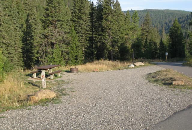 Site 3, campsite surrounded by pine trees, picnic table & fire ring