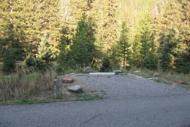 Site 4, campsite surrounded by pine trees, picnic table & fire ring