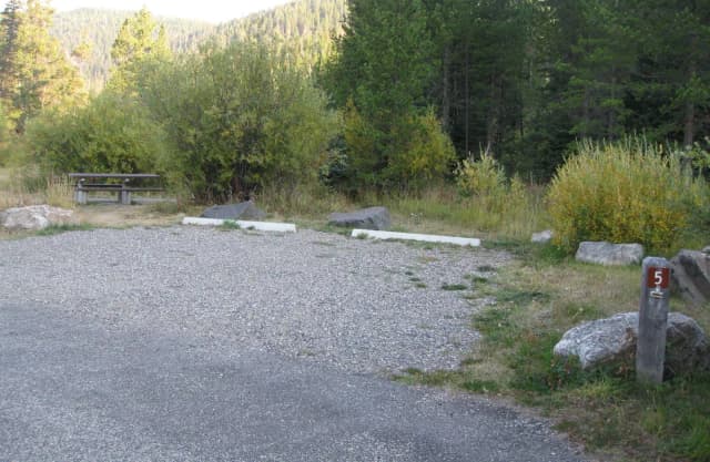Site 5, campsite surrounded by pine trees, picnic table & fire ring