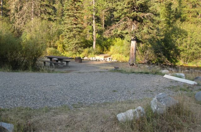 Site 6, campsite surrounded by pine trees, picnic table & fire ring