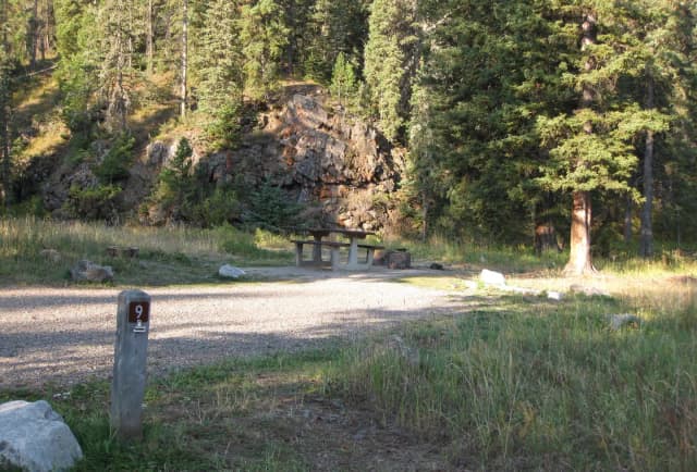 Site 9, campsite surrounded by pine trees, picnic table & fire ring
