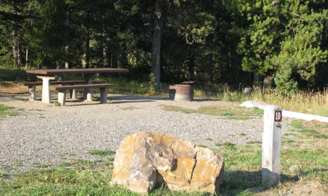 Site 10, campsite surrounded by pine trees, picnic table & fire ring