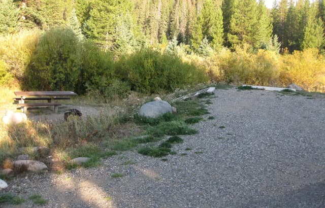 Site 12, campsite surrounded by pine trees, picnic table & fire ring