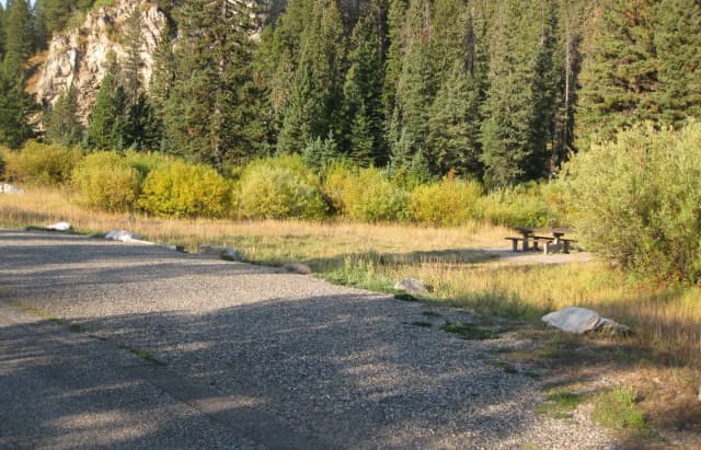 Site 13, campsite surrounded by pine trees, picnic table & fire ring