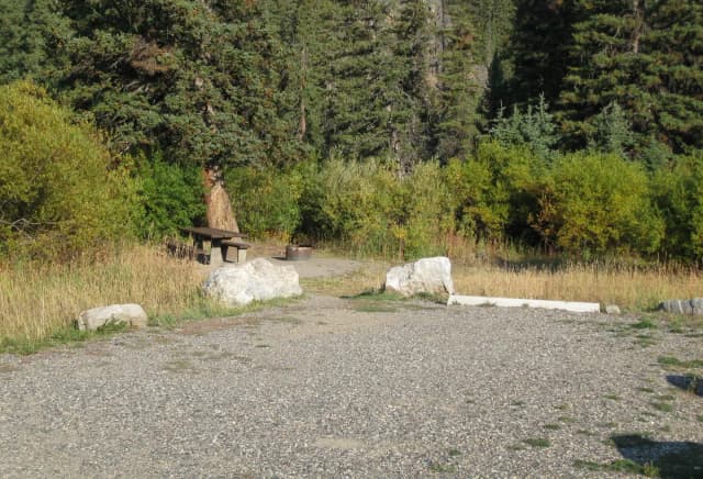 Site 14, campsite surrounded by pine trees, picnic table & fire ring