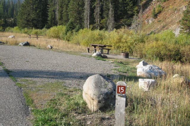 Site 15, campsite surrounded by pine trees, picnic table & fire ring