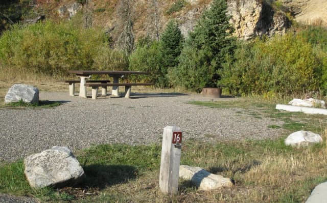 Site 16, campsite surrounded by pine trees, picnic table & fire ring