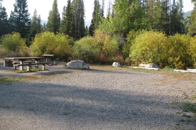 Site 17, campsite surrounded by pine trees, picnic table & fire ring
