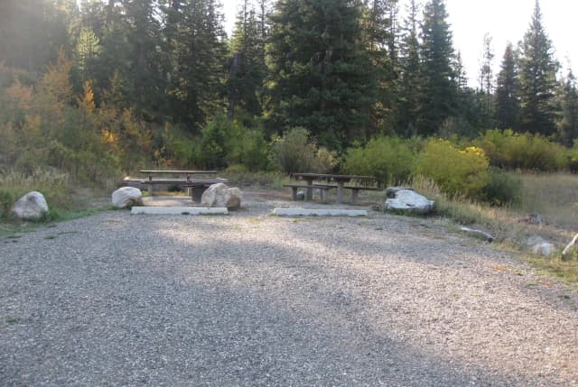 Site 18, campsite surrounded by pine trees, picnic table & fire ring