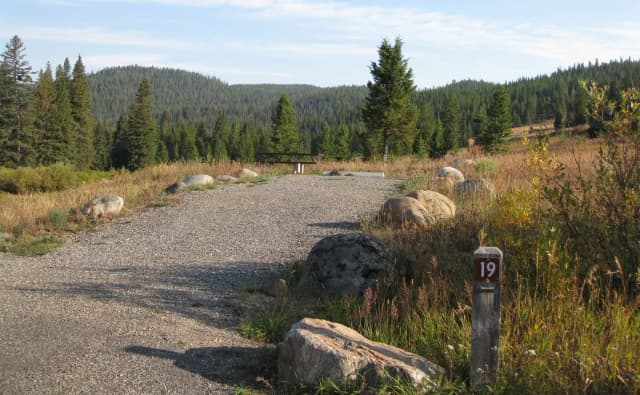 Site 19, campsite surrounded by pine trees, picnic table & fire ring