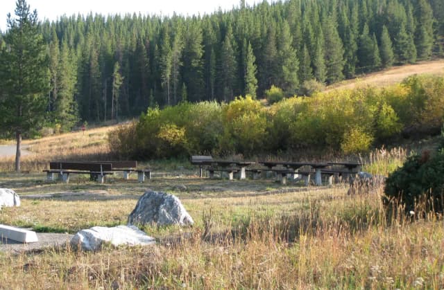 Day Use - Group Site 20, site surrounded by pine trees, picnic tables & fire ring & benches