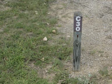 C 30