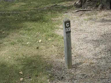 C 32