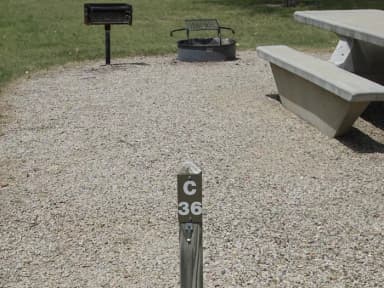C 36
