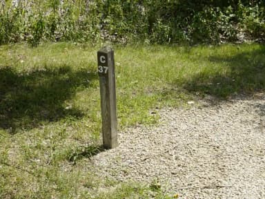 C 37