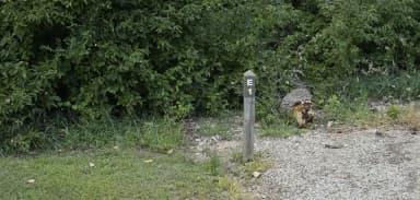 Loop ELOO · Site E01 at Venango Park