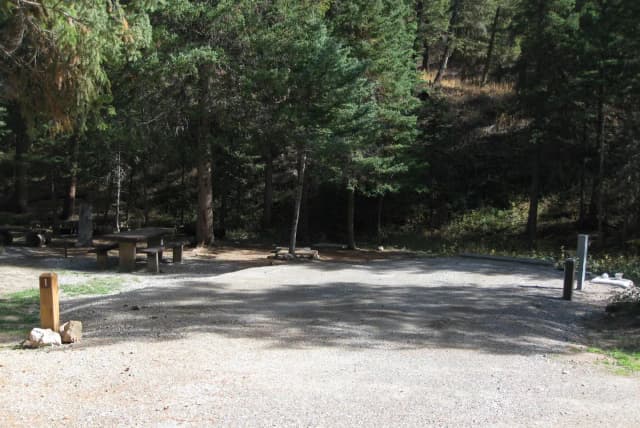 Site 1, campsite surrounded by pine trees, picnic table & fire ring