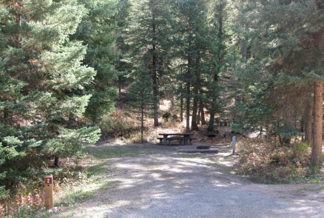 Site 2, campsite surrounded by pine trees, picnic table & fire ring