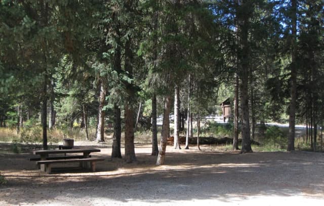 Site 3, campsite surrounded by pine trees, picnic table & fire ring