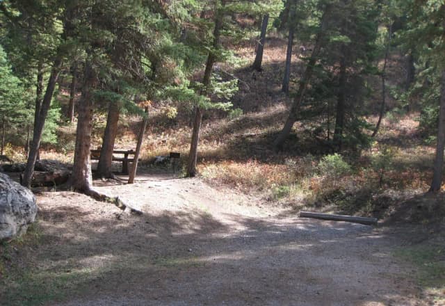 Site 4, campsite surrounded by pine trees, picnic table & fire ring