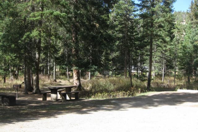 Site 5, campsite surrounded by pine trees, picnic table & fire ring