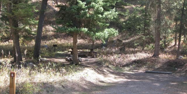 Site 6, campsite surrounded by pine trees, picnic table & fire ring
