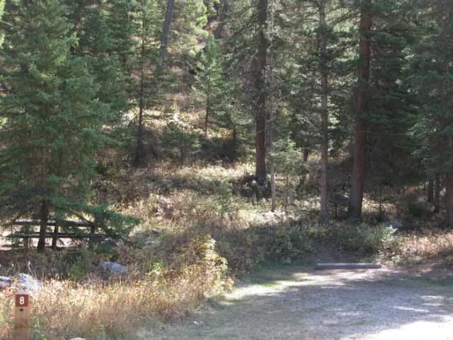 Site 8, campsite surrounded by pine trees, picnic table & fire ring