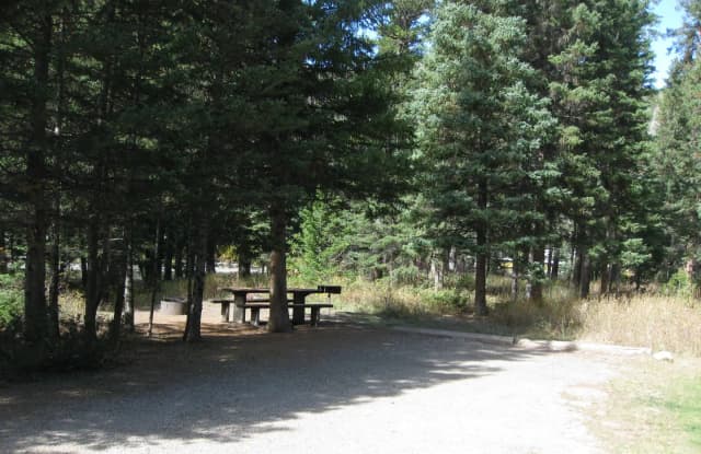 Site 9, campsite surrounded by pine trees, picnic table & fire ring