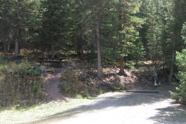 Site 11, campsite surrounded by pine trees, picnic table & fire ring