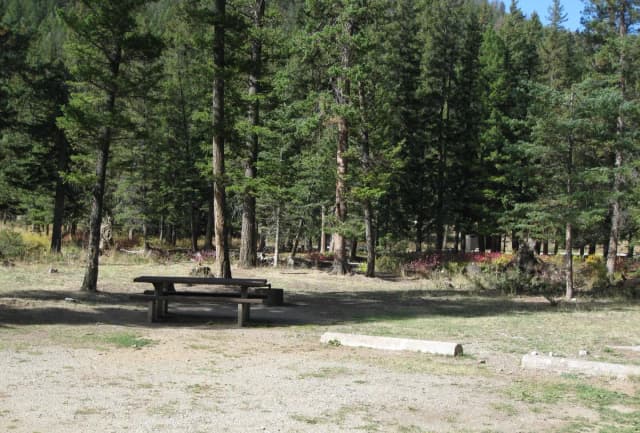 Site 12, campsite surrounded by pine trees, picnic table & fire ring