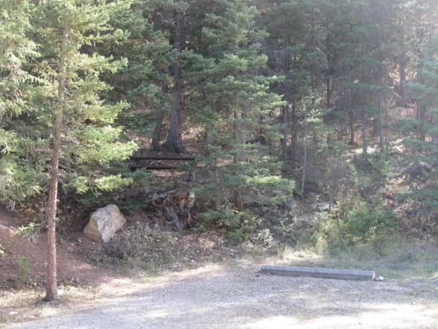 Site 13, campsite surrounded by pine trees, picnic table & fire ring