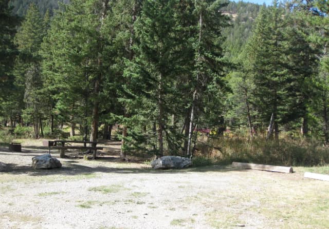 Site 14, campsite surrounded by pine trees, picnic table & fire ring