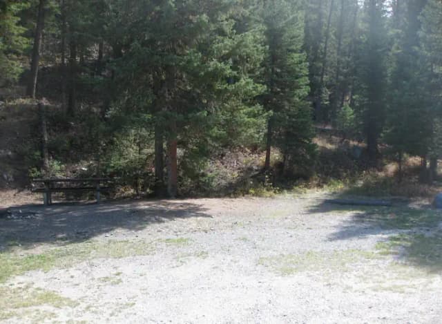 Site 15, campsite surrounded by pine trees, picnic table & fire ring