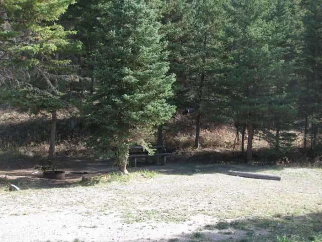 Site 16, campsite surrounded by pine trees, picnic table & fire ring
