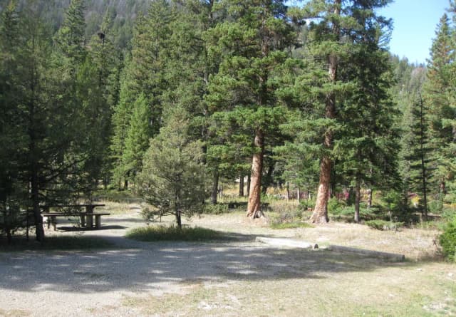 Site 17, campsite surrounded by pine trees, picnic table & fire ring
