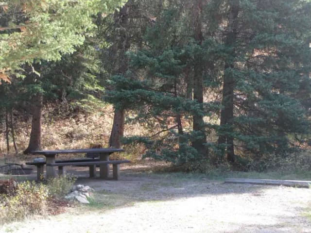 Site 18, campsite surrounded by pine trees, picnic table & fire ring
