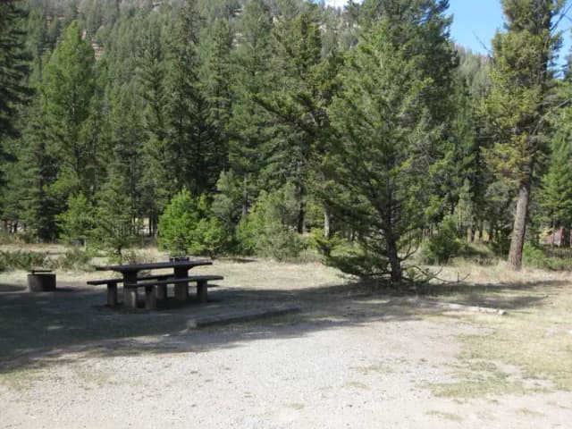 Site 19, campsite surrounded by pine trees, picnic table & fire ring