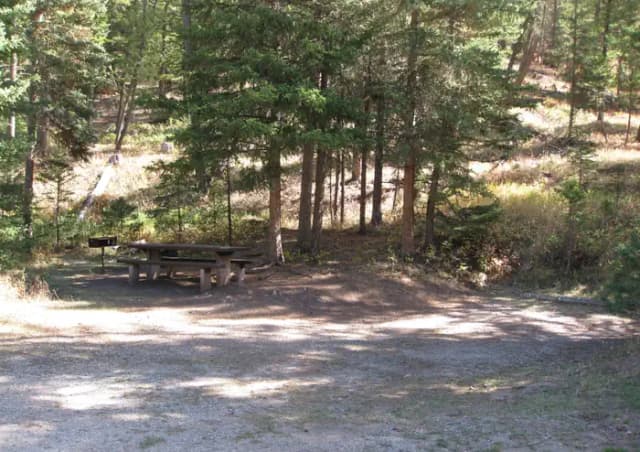 Site 20, campsite surrounded by pine trees, picnic table & fire ring