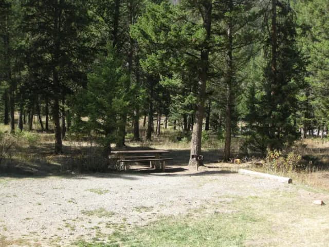 Site 21, campsite surrounded by pine trees, picnic table & fire ring