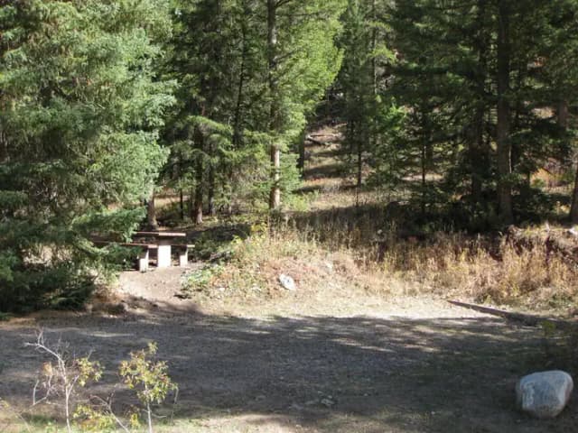 Site 22, campsite surrounded by pine trees, picnic table & fire ring