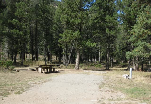 Site 23, campsite surrounded by pine trees, picnic table & fire ring