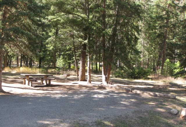 Site 25, campsite surrounded by pine trees, picnic table & fire ring