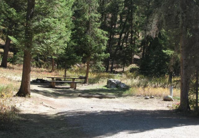 Site 26, campsite surrounded by pine trees, picnic table & fire ring