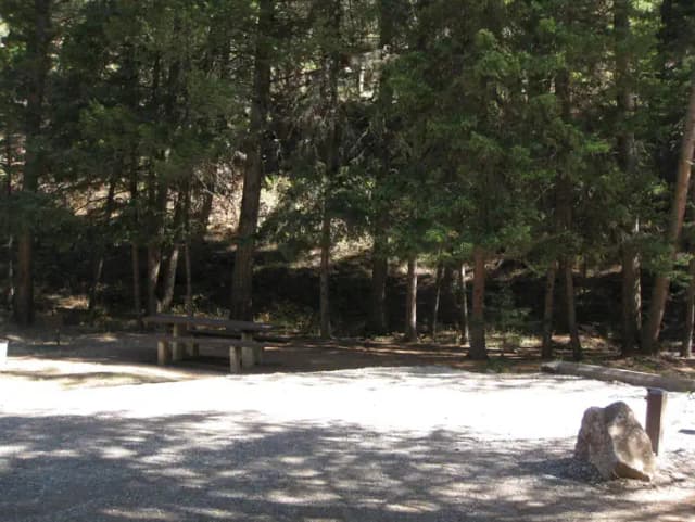 Site 27, campsite surrounded by pine trees, picnic table & fire ring