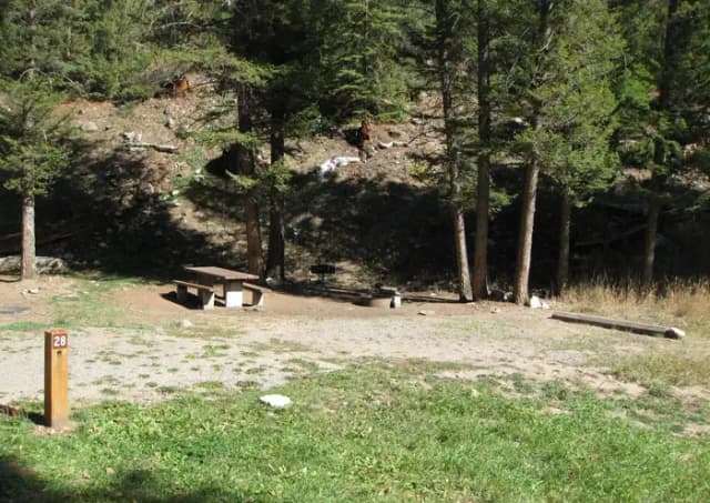 Site 28, campsite surrounded by pine trees, picnic table & fire ring