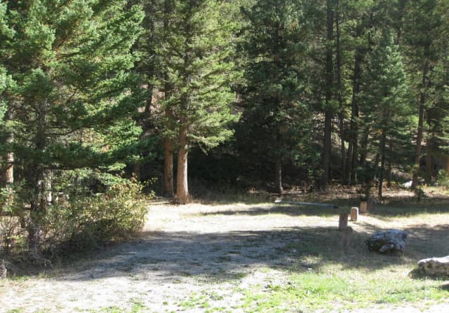 Site 29, campsite surrounded by pine trees, picnic table & fire ring